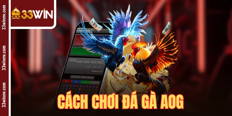 Cách Chơi Đá Gà AOG
