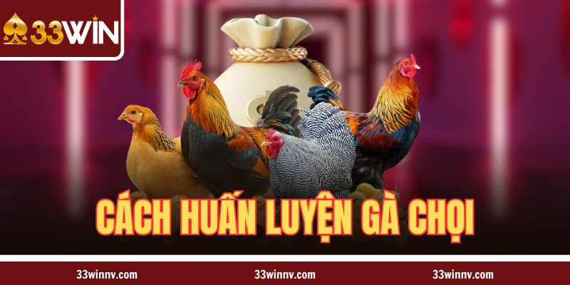 Cách Huấn Luyện Gà Chọi